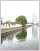 區域水環境管理決策支持系統的研究和開發_以湛江市為例